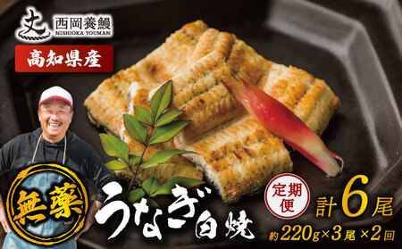 【 鰻白焼 】 国産 うなぎ白焼 定期便 計6尾 ( 220g × 3尾 × 2回 )