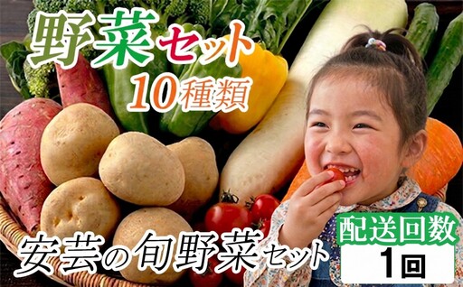[ 安芸野菜 ] 野菜 10種類 詰め合わせ 安芸野菜