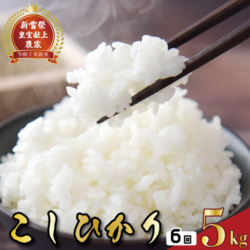 【令和8年産】 新米 定期便 5kg×6回 コシヒカリ 新米 AS019