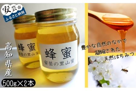 はちみつ500g×2本セット|はちみつはちみつはちみつ蜂蜜蜂蜜蜂蜜蜂蜜蜂蜜