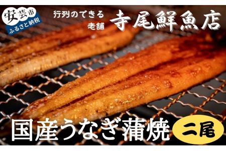 お魚屋さんのうなぎ蒲焼 約400g (2尾)ウナギ ふっくら肉厚 大容量