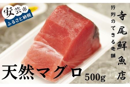 天然まぐろ 赤身 500g 冷凍 キハダマグロ