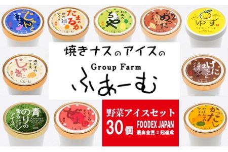 アイス 野菜アイス30個|アイス アイス アイス アイス アイス アイス アイス