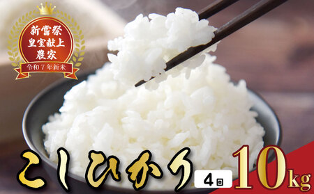 [令和7年産]4回定期便 コシヒカリ(白米) 定期便 10kg×4回 こしひかり