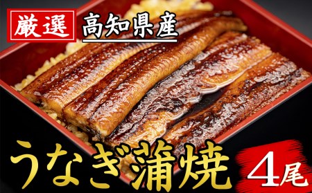 うなぎ蒲焼 (4尾)ウナギ ふっくら肉厚 大容量