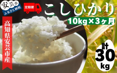 [令和6年産新米]安芸の豊かな自然の恵みを頂いて育ったお米「こしひかり」定期便 10kg×3ヶ月