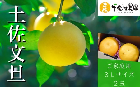 �y�����U 3L�T�C�Y×2�� ���ƒ�p