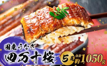 [通常用]極上国産うなぎ四万十桜 | 蒲焼 うなぎ 四万十 うなぎ 高知 うなぎ 厳選 うなぎ うなぎ 蒲焼き うなぎ蒲焼き 家庭用 約210g×5尾