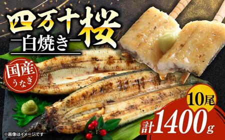 [通常用]極上国産うなぎ四万十桜 白焼き約140g×10尾 | うなぎ 四万十うなぎ 高知県産うなぎ 厳選うなぎ 家庭用