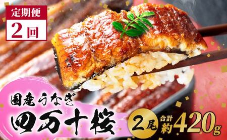 [2回定期便]極上国産うなぎ四万十桜 蒲焼き約210✕2尾|冷凍 蒲焼 うなぎ 四万十 うなぎ 高知県産 うなぎ 厳選 うなぎ うなぎ 鰻