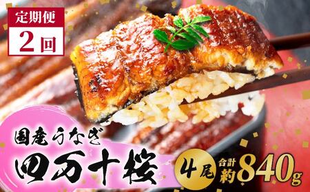 [2回定期便]極上国産うなぎ四万十桜 蒲焼き約210g✕4尾|蒲焼 うなぎ 四万十 うなぎ 高知 うなぎ 厳選 うなぎ うなぎ 冷凍 蒲焼き うなぎ