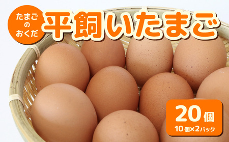 平飼い卵 20個入 |たまご 玉子 生卵 たまごかけご飯 国産たまご こだわりたまご 南国たまご