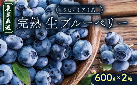 ys\znu[x[ rbgACn 1200g (2026N7`) | t[c ʕ x[