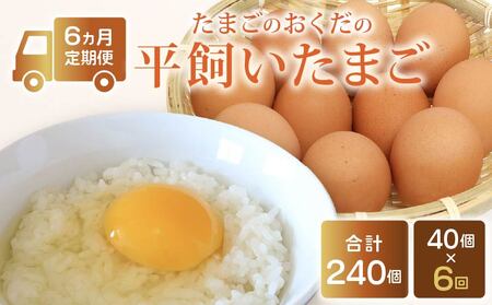 [定期便6回]平飼い卵 40個入り (10個×4パック)[たまご 卵 タマゴ 鶏卵 たまごかけごはん TKG オムレツ 卵かけご飯 たまご焼き おいしい おすすめ 高知県 南国市
