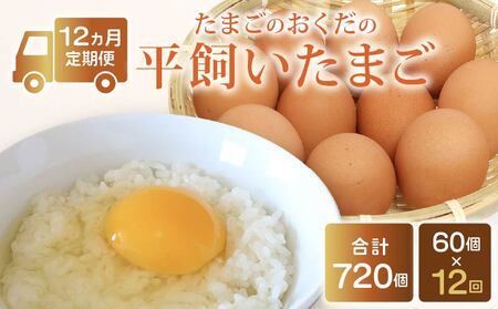 y܂ 12z 60y܂ m 썑sz