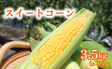 訳あり スイートコーン (ゴールドラッシュ) 3.5kg(約10本)| 2025年発送 6月 高知県スイートコーン とうもろこし スイート コーン コーン