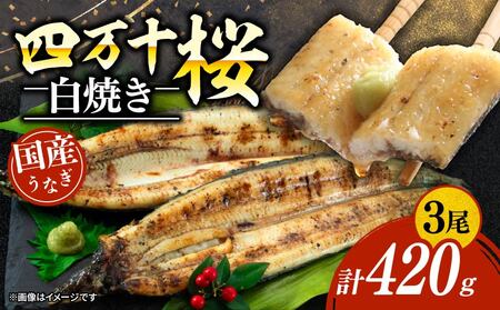 [贈答用]極上国産うなぎ四万十桜 白焼き約140g×3尾 | うなぎ 四万十うなぎ 国産うなぎ 厳選うなぎ 白焼き うなぎ 贈答用 高知県 南国市