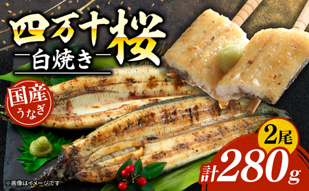 [贈答用]極上国産うなぎ四万十桜 白焼き約140g×2尾うなぎうなぎうなぎ白焼き高知県南国市