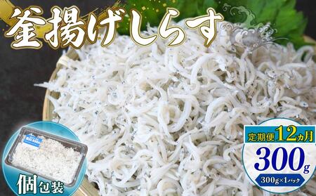 y12zg炷 300gi300g×1pbNj|炷 g ͂  pX^   m 썑s VX 炷 ߂ Ⴑ   L L 炷 VX CN 