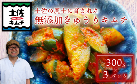 土佐キムチ きゅうり 300g×3パック きゅうりキムチ きゅうりキムチ 胡瓜 きゅうり 発酵