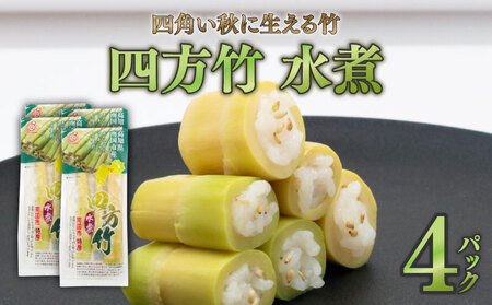 四方竹 水煮 100g×4パック シャキシャキ 食感 珍味 季節 特産 珍しい 柔らか 筍 タケノコ 竹の子 煮物 おでん サラダ 和え物 天ぷら キンピラ お寿司 高知県 南国市