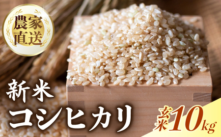新米玄米コシヒカリ10kg新米新米新米