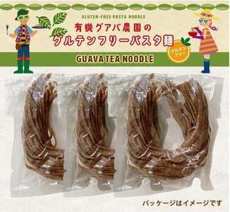 有機グアバ農園のグルテンフリー玄米パスタ麺 100g×9袋セット | グルテン フリー ダイエット 健康 食品 健康 メン 人気 おすすめ 高知県 南国市