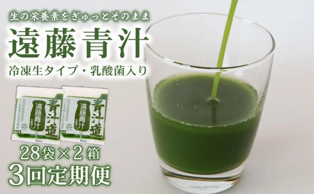 遠藤青汁 冷凍 生 2箱 3回定期便 | 100g青汁 生青汁 国産青汁 ケール100%青汁