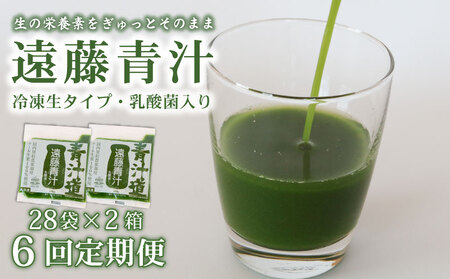 y6ցzyⓀz`25.6kg(100g×56) Y P[100%