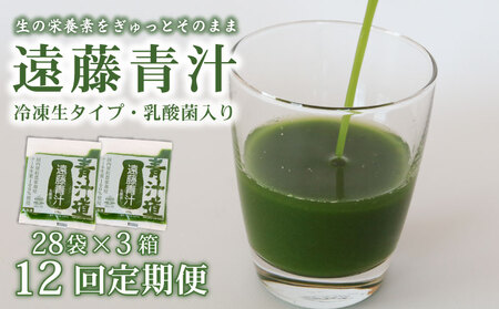 y12ցzyⓀz`38.4kg(100g×84) Y P[100%