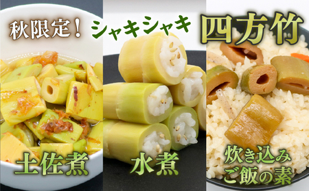 四方竹食べ比べセット各2 タケノコタケノコタケノコタケノコタケノコ
