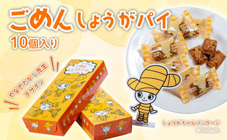 ごめんしょうがパイ10個 しょうがしょうがしょうが