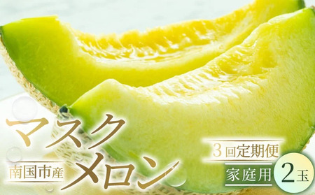 [3回定期便]家庭用 メロン 2玉 