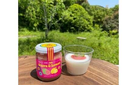 有機グァバ農園の完熟フルーツソース Guava&Lemon(グァバ&レモン) 100g 1個 | フルーツ ソース ジャム じゃむ グアバ グァバ れもん レモン 高知県 南国市