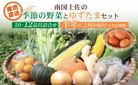 [半年に1回お届け 全2回コース]南国土佐の季節野菜と卵(ゆずたま)の詰め合わせセット | 定期便 セット 詰め合わせ 旬 やさい たまご 卵 柚子 ゆず ゆずたま 農家直送 人気 高知県 南国市