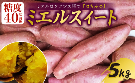 [9月下旬より順次発送] ミエルスイート 5キロ サツマイモ 高知県 南国市