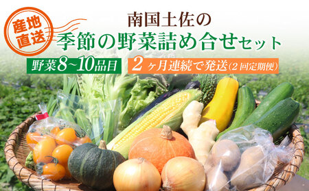 [2回定期便]毎月お届け便 南国土佐の季節の野菜詰め合せセット