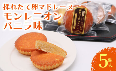 [焼き菓子]マドレーヌ モンレニオンバニラ 5個入 洋菓子