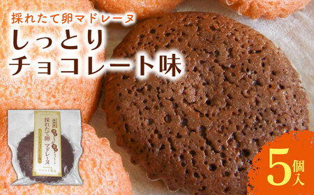 [焼き菓子]マドレーヌ しっとりチョコレート 5個入 洋菓子