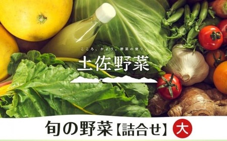 やさい 10~13品目 詰め合わせ セット 南国市 やさい