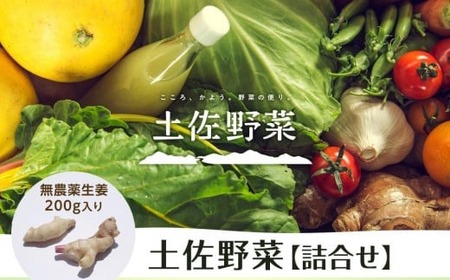 旬の土佐野菜セット 無農薬生姜200g付き 野菜