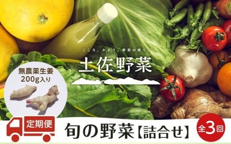 旬の土佐野菜セット 無農薬生姜200g付き 3回定期便 野菜