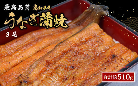 Ȃ 170g×3 mY ōi v510g  R Y V Ώ y Ș ȏd m 썑s