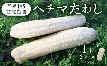 ヘチマたわし (Sサイズ) 未漂白 たわし ボディスポンジ 有機JAS認定農園