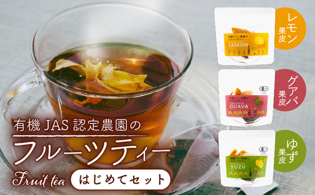 フルーツティーはじめてセット [ティーバッグ3種]