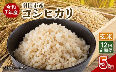 �y12�����ցz�ߘa7�N�x �썑�s�Y �R�V�q�J�� ���� 5�s