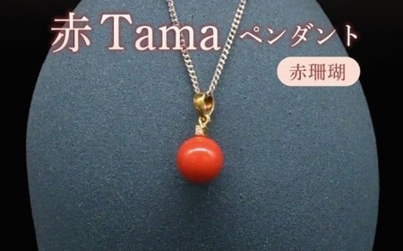 ��Tama�y���_���gTOP 8.1mm(�_�C��1��)