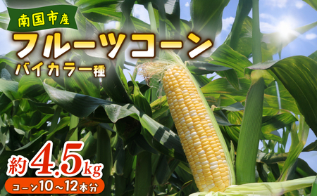 �y2026�N��s�\�� / ���ʌ��� �Ƃ����낱���z �t���[�c�R�[�� �o�C�J���[�� 10�`12�{ �Ƃ����낱��