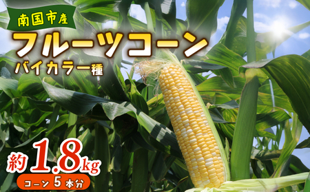 [2026年先行予約 / 数量限定 とうもろこし]フルーツコーン バイカラー種 5本 とうもろこし