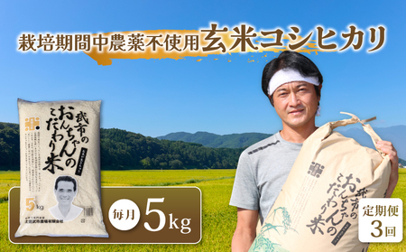 特別栽培米 栽培期間中農薬不使用 [3回お米定期便]玄米 コシヒカリ 数量限定 5キロ